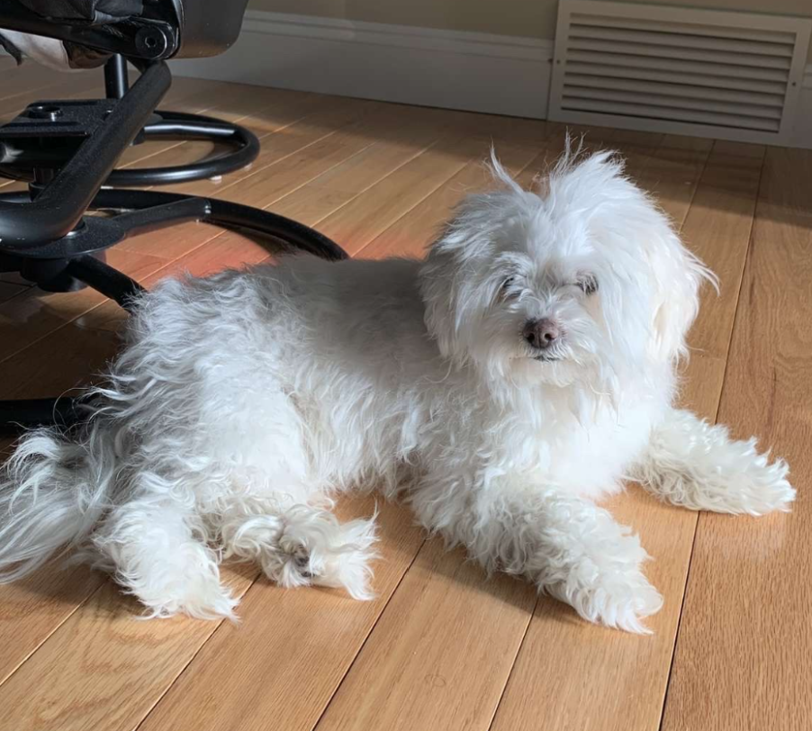 Mozart relaxing